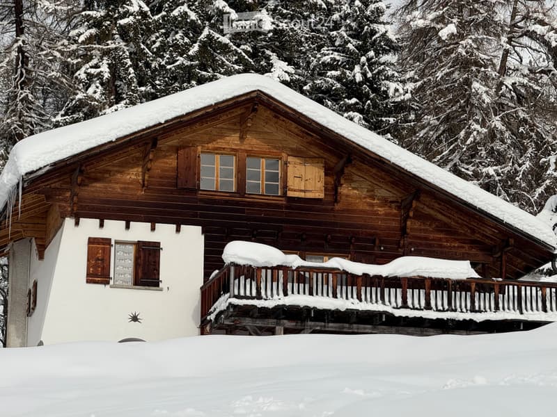 Verbier (3)