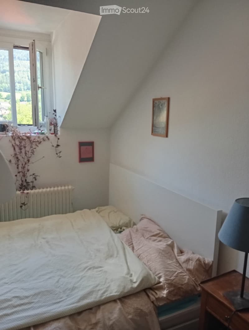 Beautiful apartment with a view of the Dent de Vaulion in Vallorbe (2)