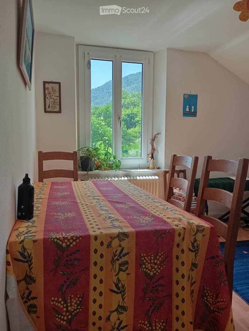 Beautiful apartment with a view of the Dent de Vaulion in Vallorbe (1)