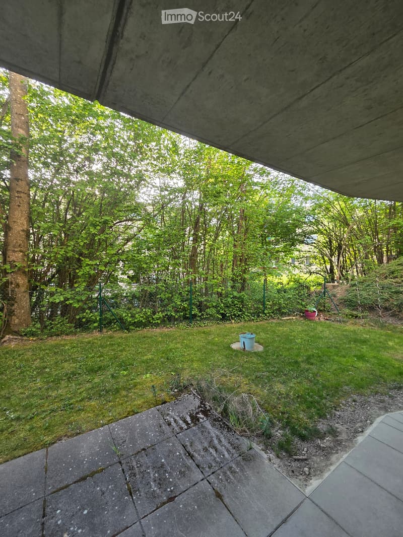 Camera in condivisione - Le-Mont-Sur-Lausanne (4)