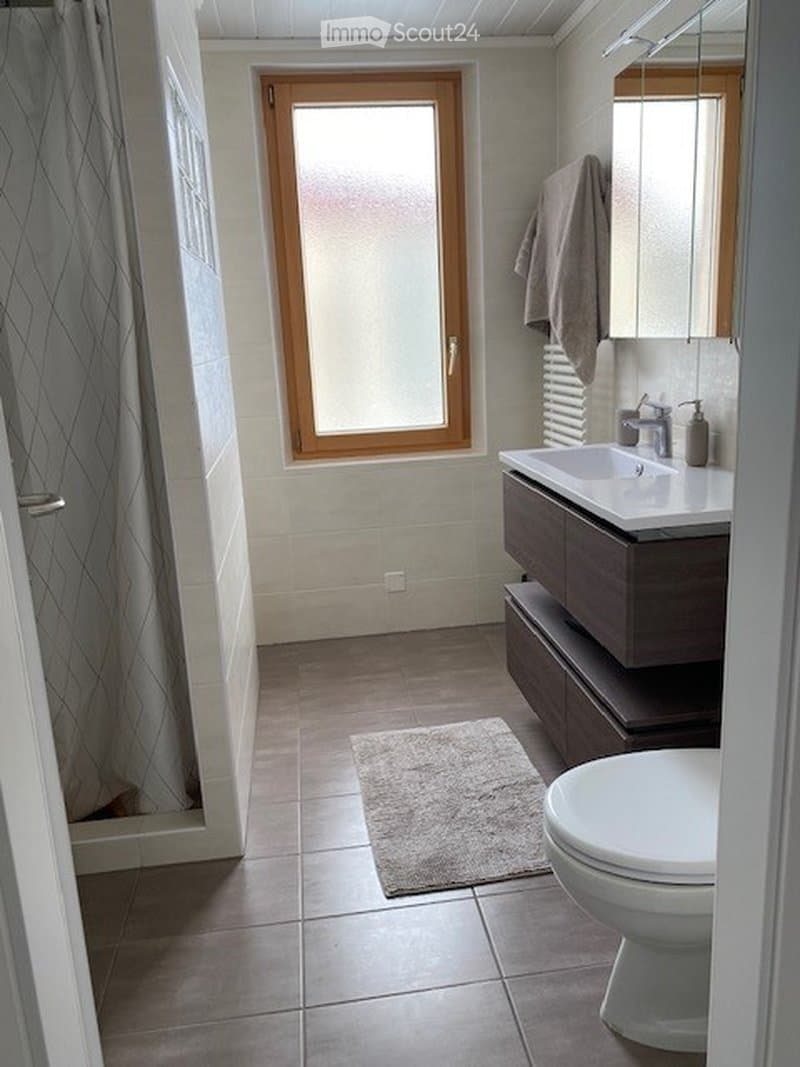 Magnificent 5.5-room duplex apartment (3)