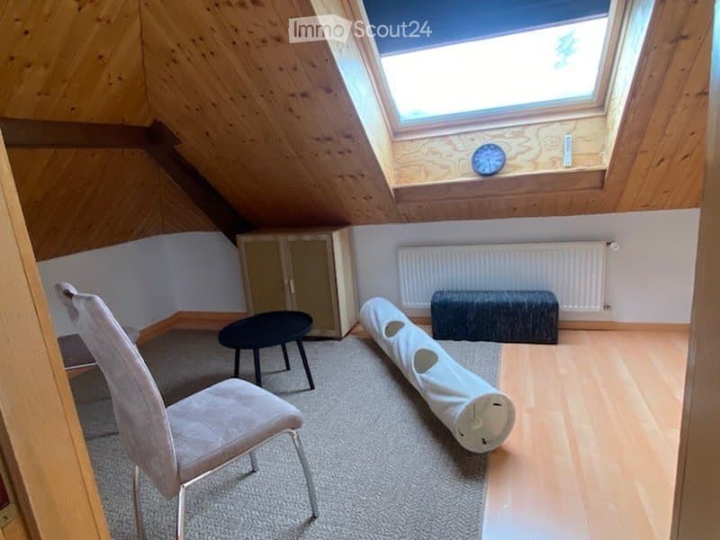 Magnificent 5.5-room duplex apartment (2)
