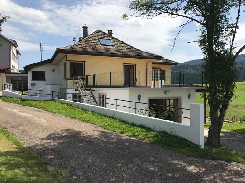 Magnificent 5.5-room duplex apartment (1)