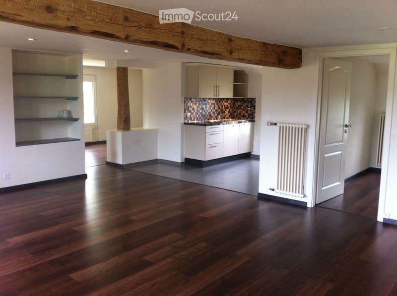 Appartamento-Loft 100m2 - posizione tranquilla, a 3 minuti dall'autostrada. (1)