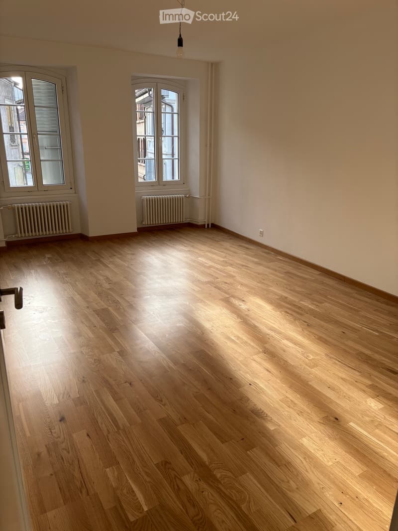 Moudon, 5-Zimmer-Wohnung, 30 Minuten von Lausanne (5)