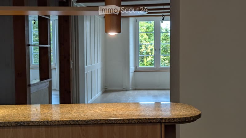 4 Zimmer, 100m2, 1. Etage im ehemaligen Winzerhaus (2)