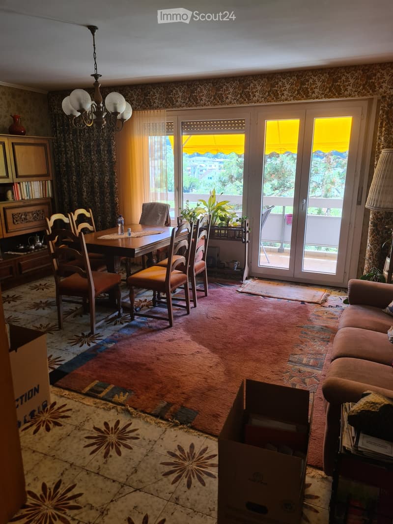 Beautiful 4-room apartment 1/2 by the Vièze! (5)