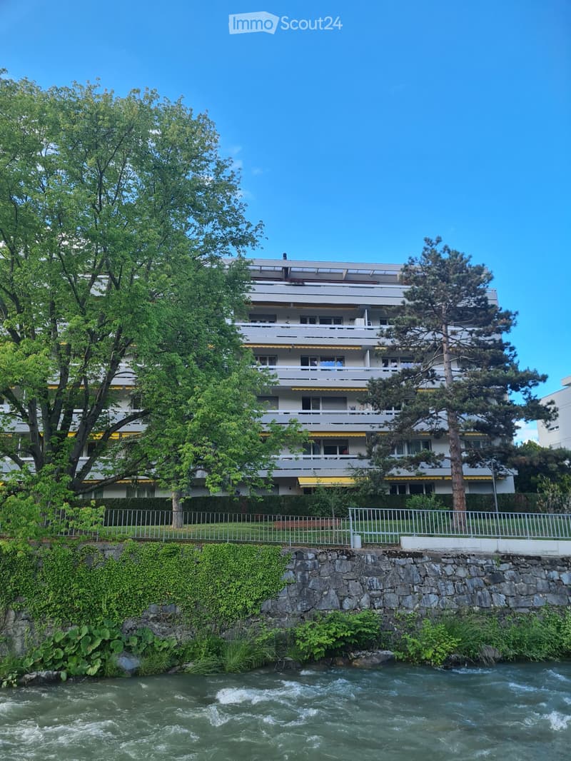 Beautiful 4-room apartment 1/2 by the Vièze! (3)