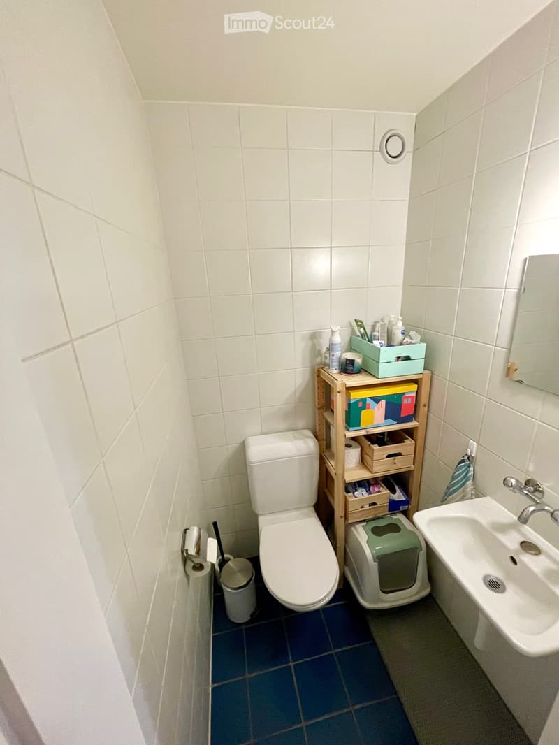 4.5-room apartment to be renovated Geneva / Plainpalais (6)
