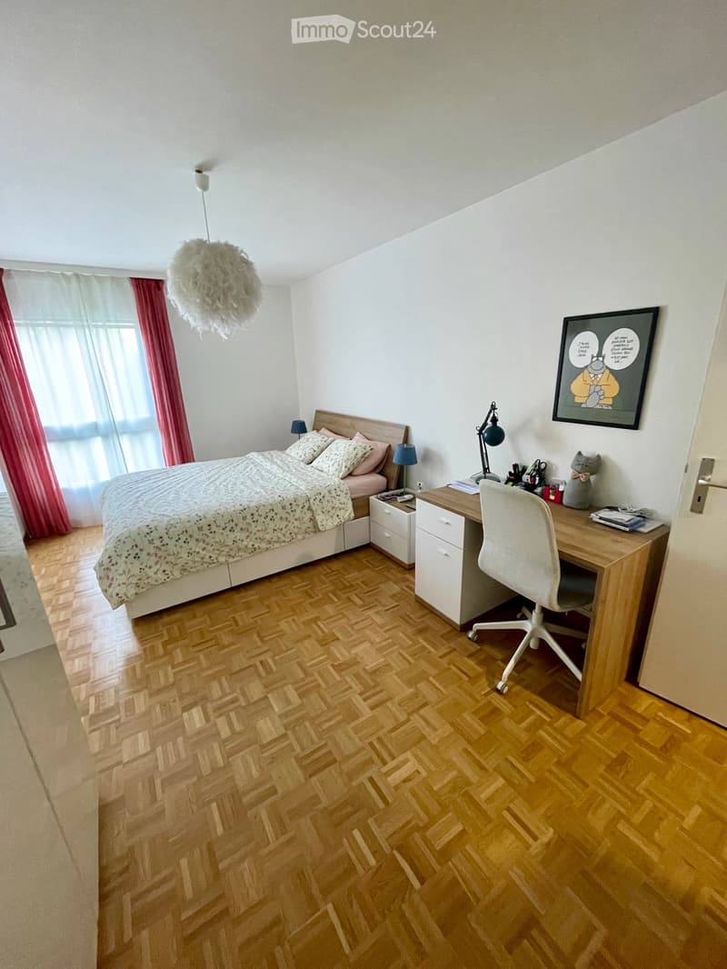 4.5-room apartment to be renovated Geneva / Plainpalais (9)