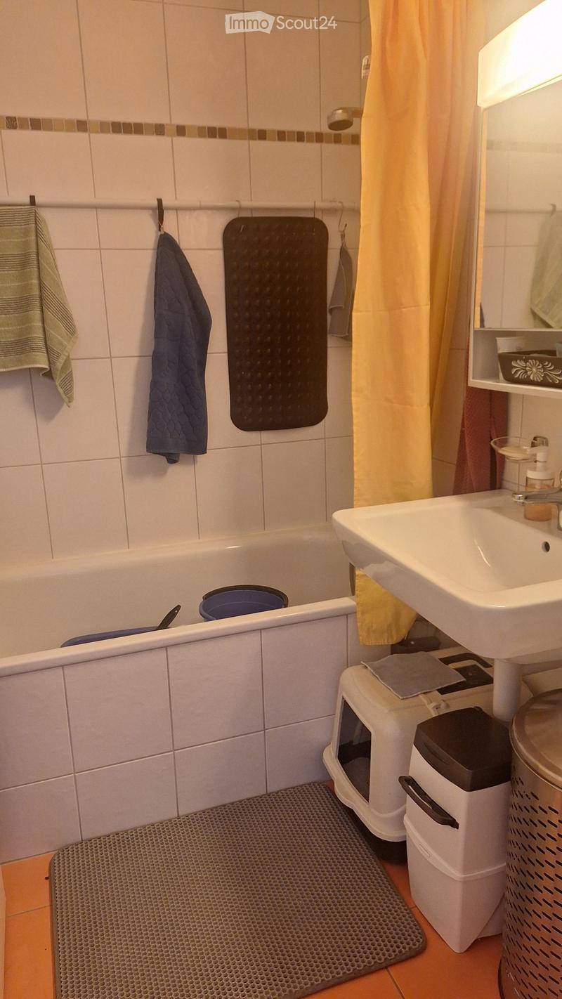 Apartment lease transfer (3)