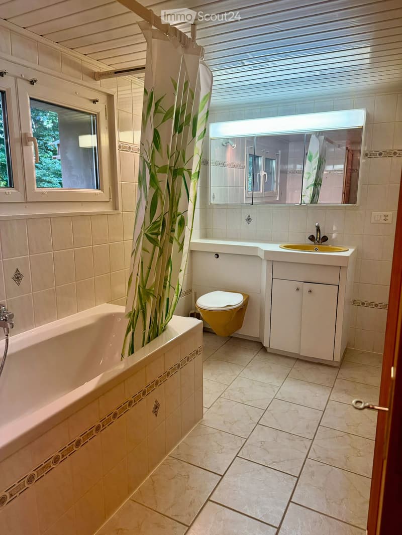 Les Paccots, 2-room apartment, yearly rental, Parking (3)