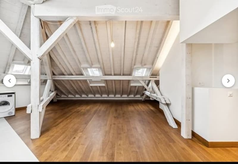 Superbe 3.5 pièces de caractère dès le 1er juillet (7)
