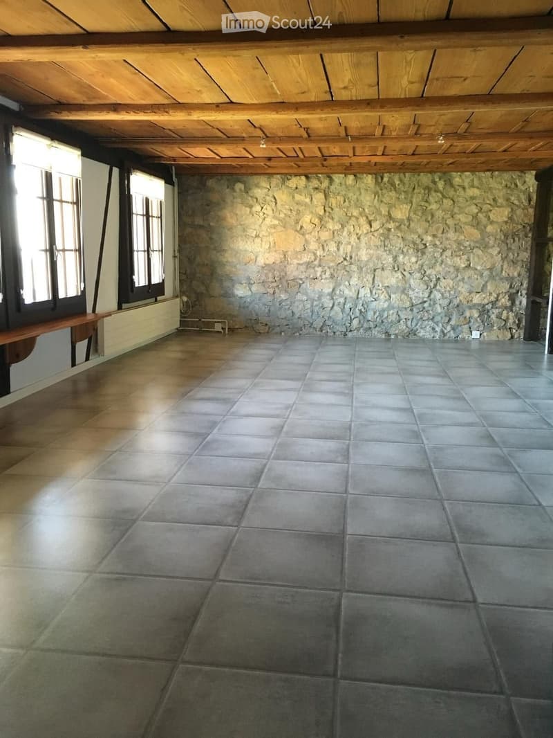 Joli appartement 2,5 pièces (1)