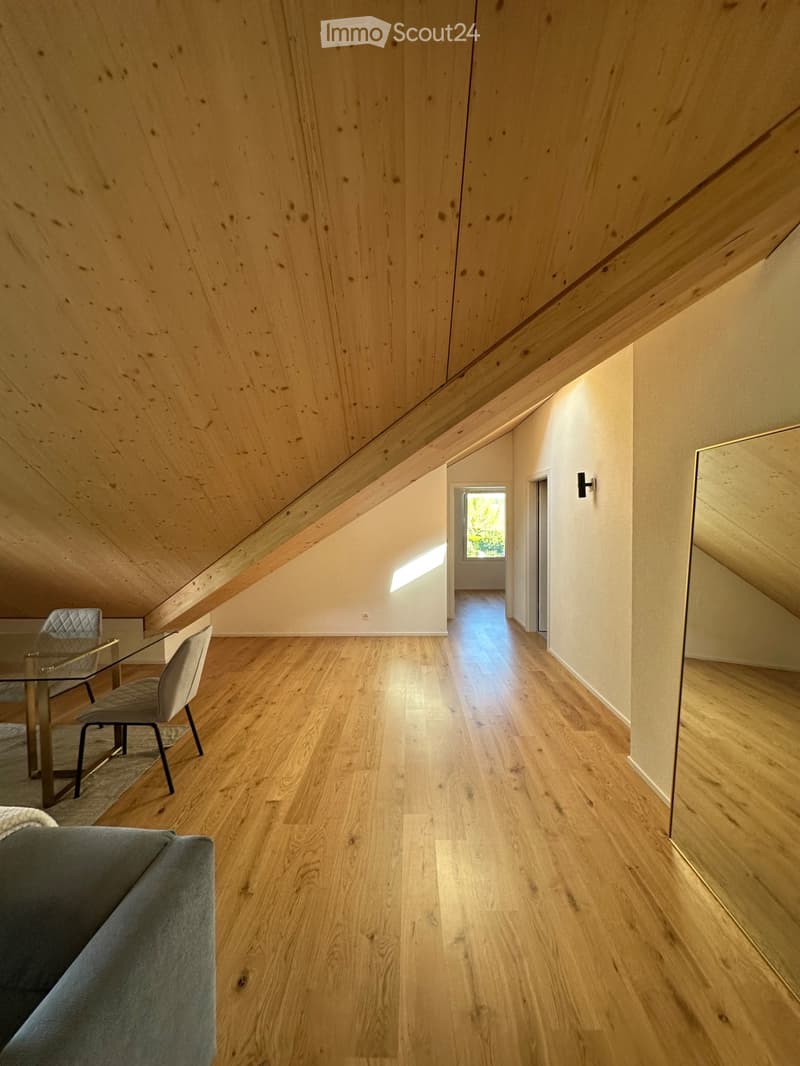 Appartement zur Miete ab Ende Juli (3)