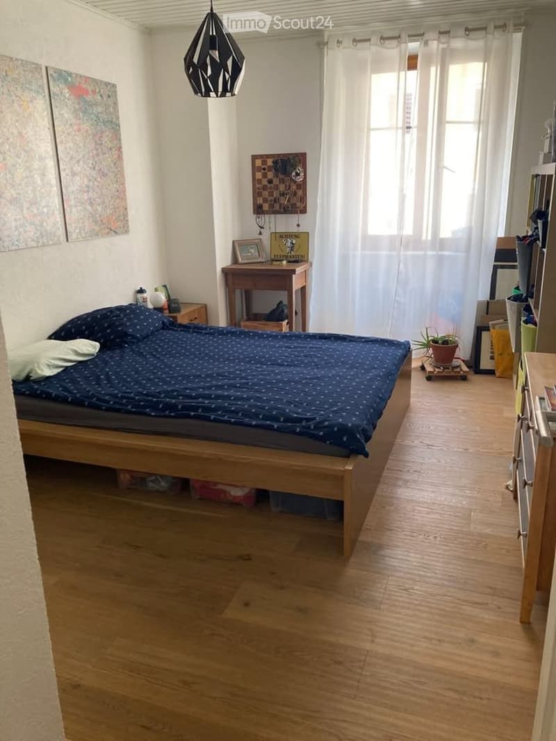 Very beautiful 3.5-room apartment - renovated (3)