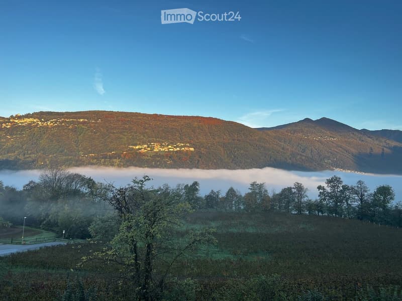 Domaine campagnard suisse historique près de Lugano, Vente confidentielle (5)