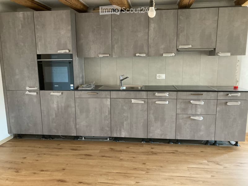 Apartment with character, renovated (2)