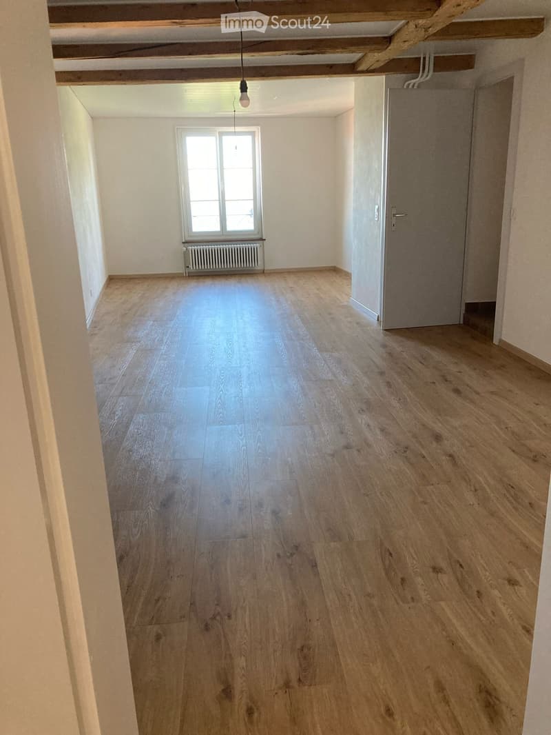Apartment with character, renovated (4)