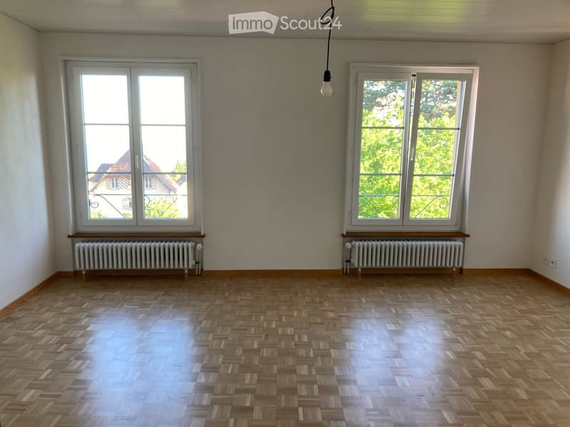 Apartment with character, renovated (5)