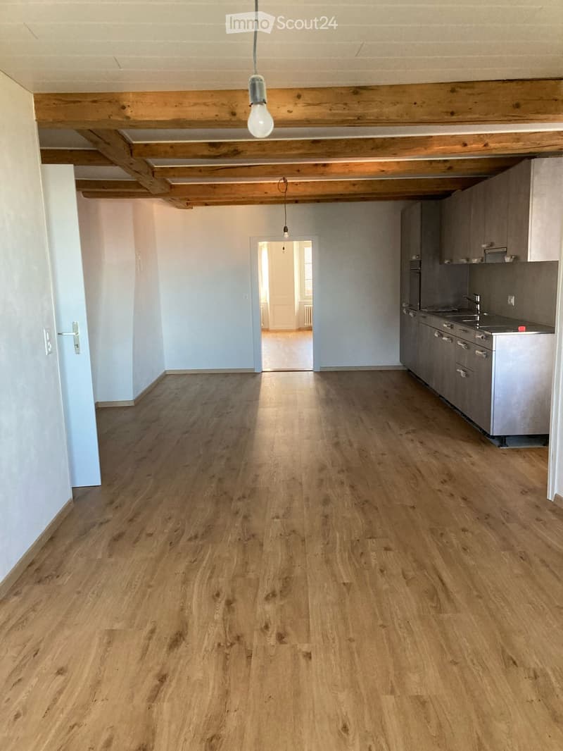 Apartment with character, renovated (3)