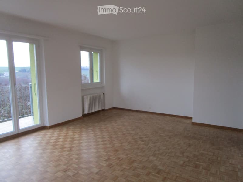 Sunny 3-room apartment for rent with janitor's office (2)