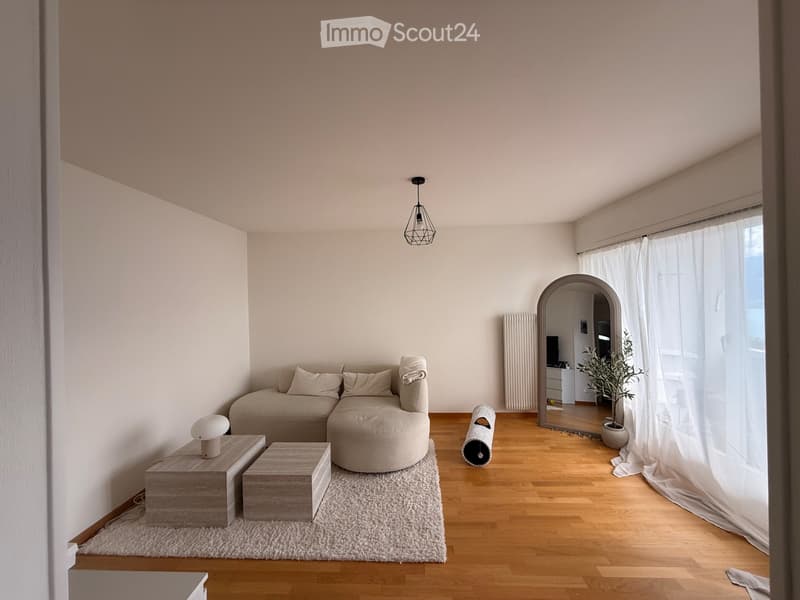 Magnifique appartement 2 pièces avec vue sur le lac (2)