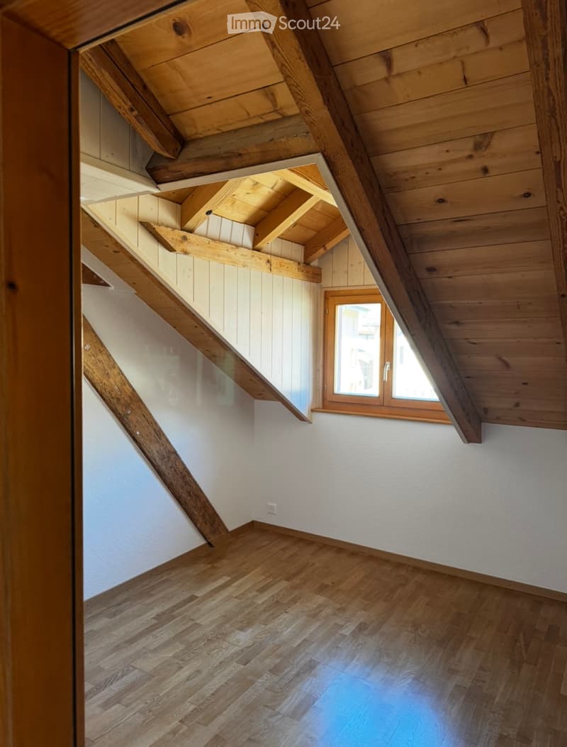 Magnifique appartement 60m2 meublé sous toit (4)