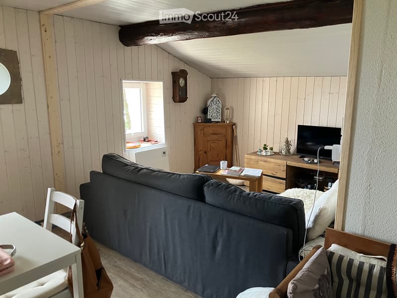 Chalet im Mayen de Conthey (VS) (4)