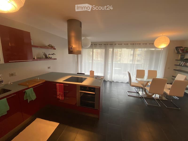 Helles und großes 2.5-Zimmer-Wohnung (2)