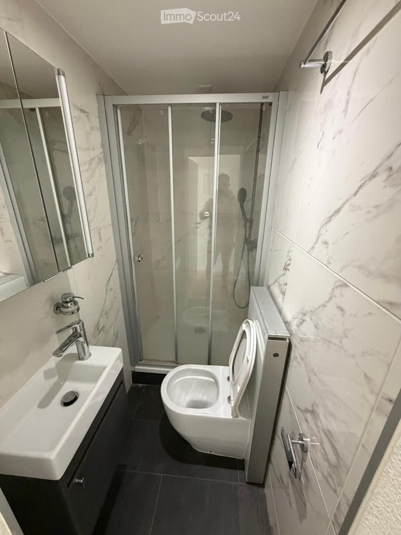 Wohnung zur Miete 4.5 Zimmer (5)