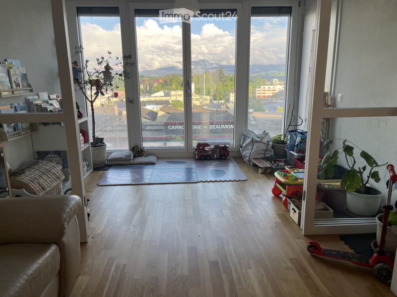 Lumineux appartement 3,5 pièces Fribourg (2)