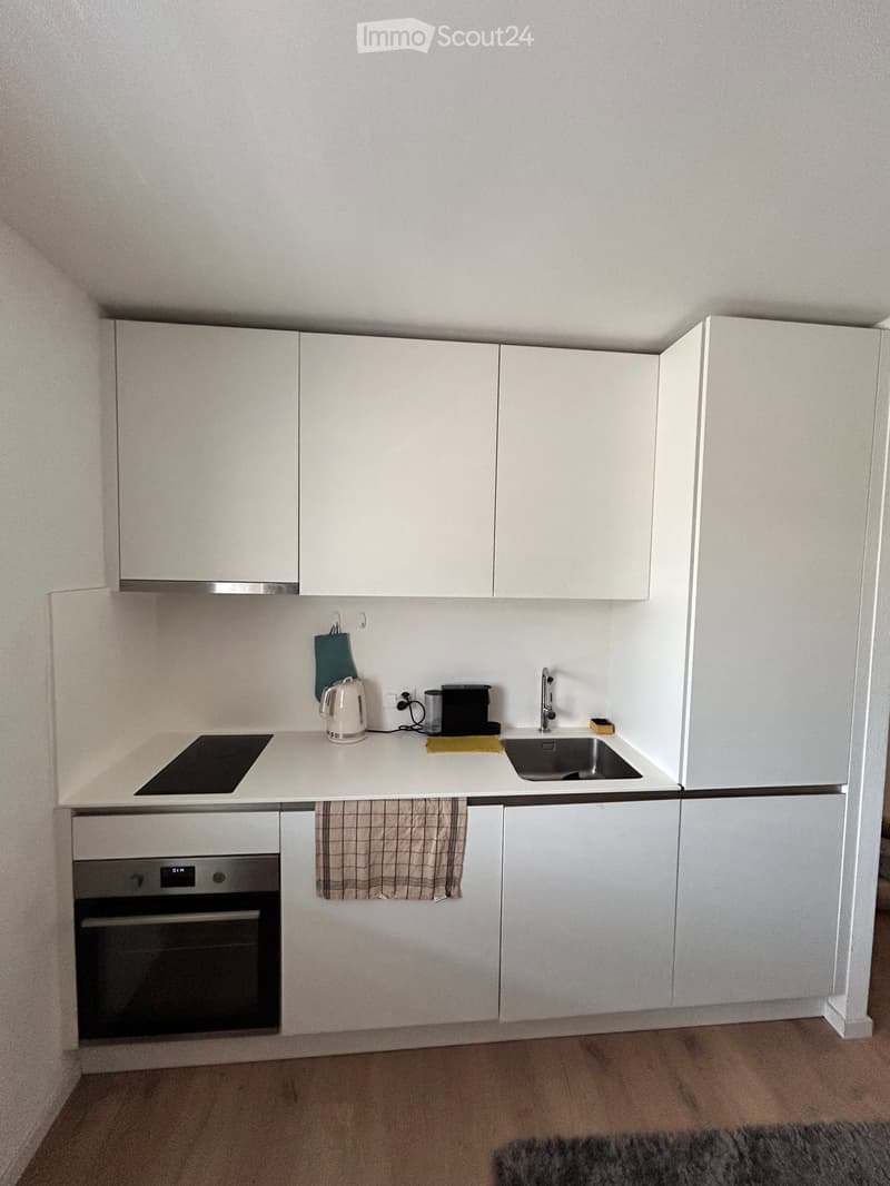 Studio moderne et fonctionnel à Morges (5)
