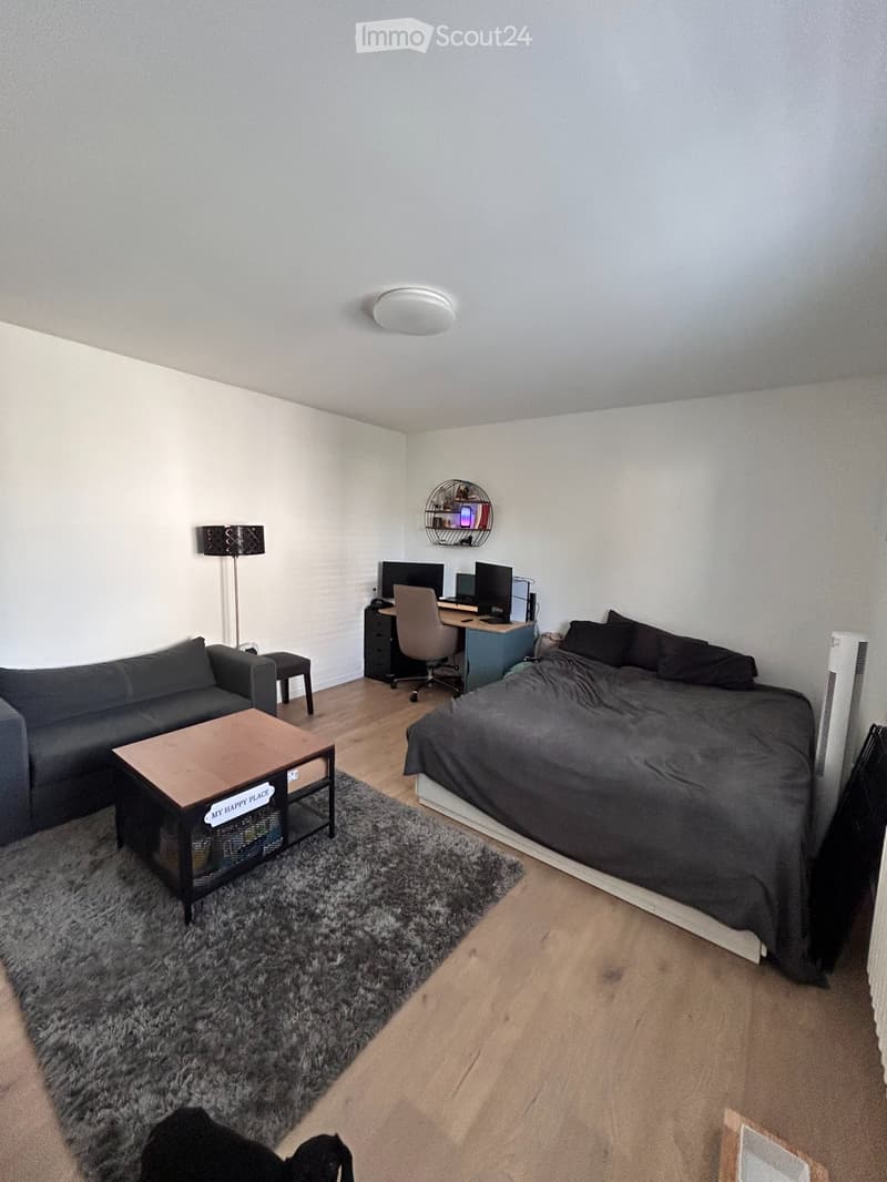 Studio moderne et fonctionnel à Morges (4)
