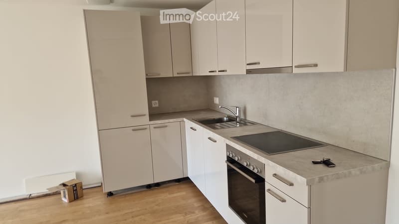 Brandneues Apartment 2 1/2 zur Miete (4)