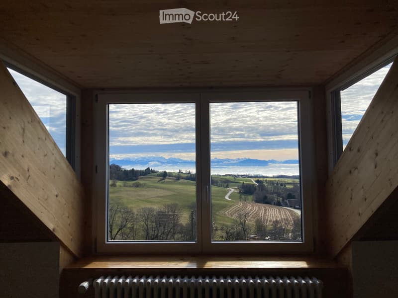 Coliving a Marchissy - Camera in una casa d'eccezione (4)