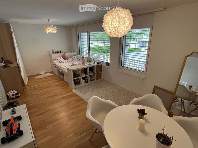 Charmantes Studio 1,5 Zimmer 50m2 in Bussigny (5)