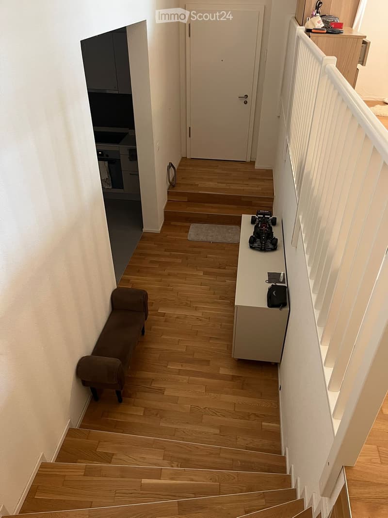 Charmantes Studio 1,5 Zimmer 50m2 in Bussigny (2)