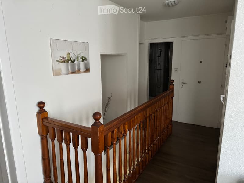 Magnifique duplex (4)