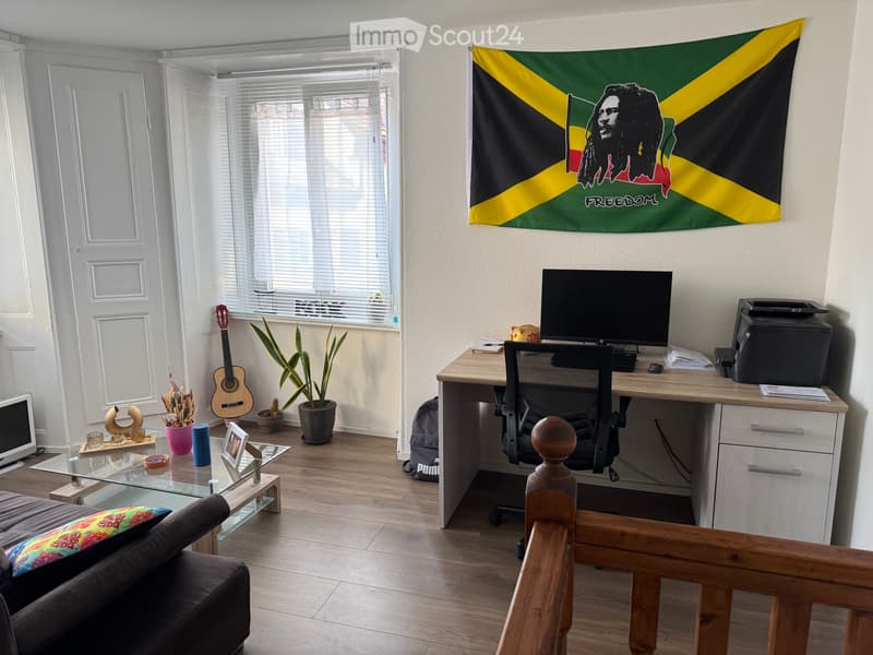 Magnifique duplex (7)