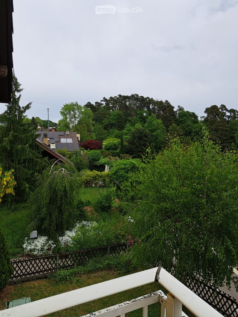 Villa mitoyenne (5)