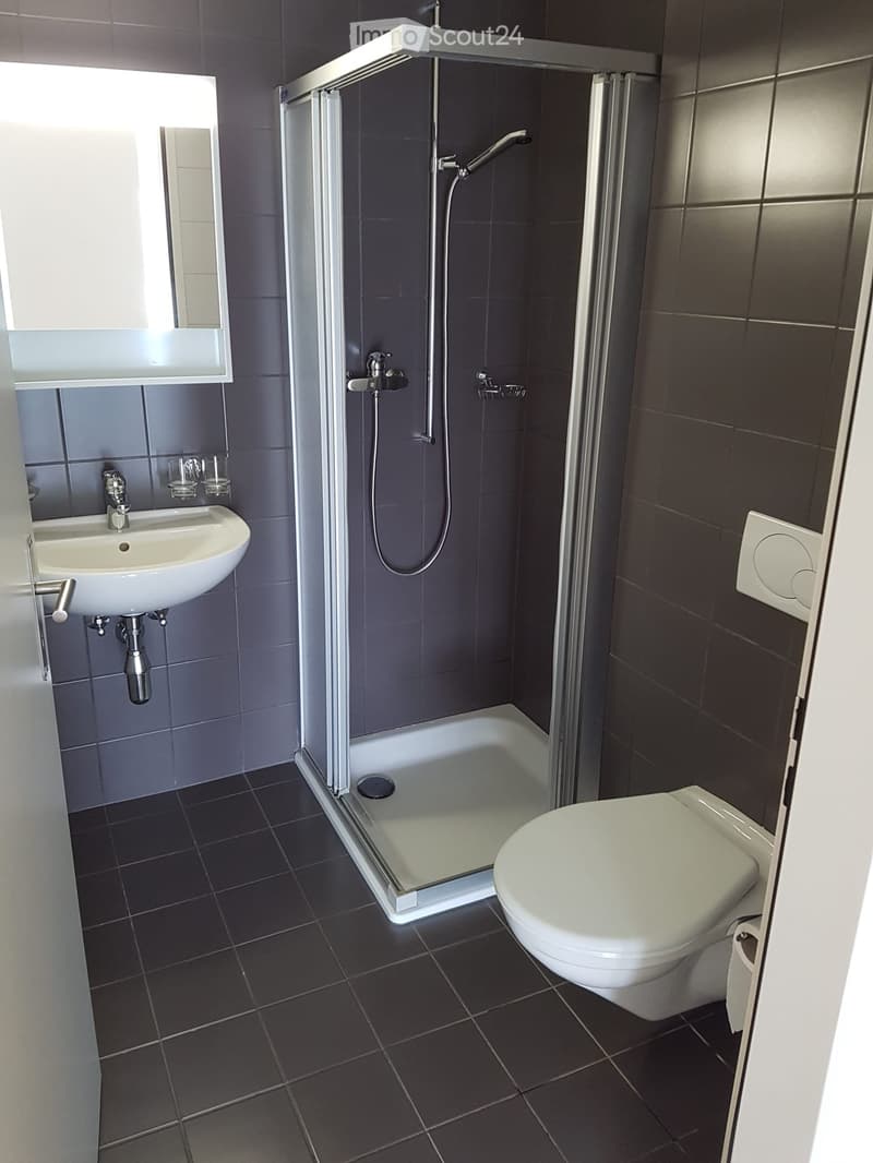 Helles 3,5-Zimmer-Wohnung (2)