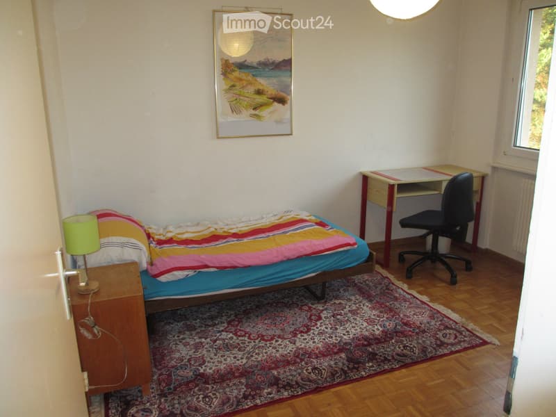 Camera in affitto in appartamento arredato in condivisione (3)