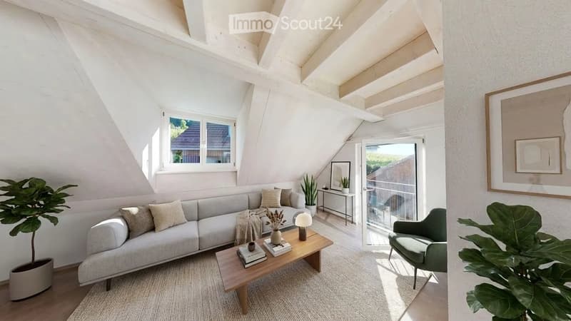 3.5 Room Attic Apartment with a Great View (3)