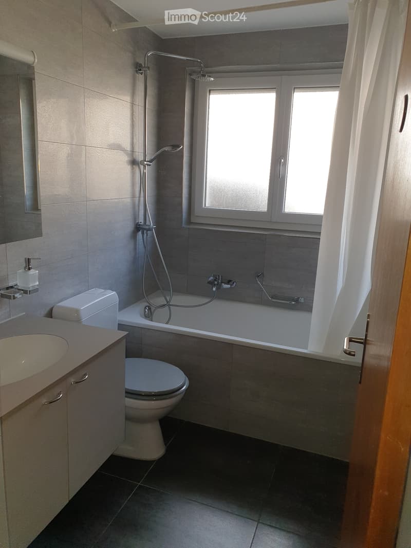 Apartment for rent in Develier (5)
