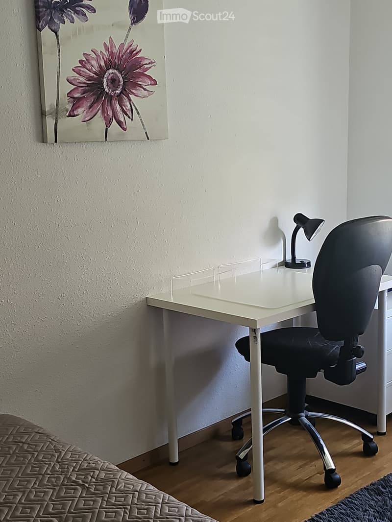 Schönes möbliertes Zimmer (2)