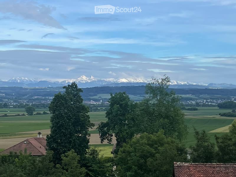 Wohnung 4,5 Zimmer, ruhige Nachbarschaft (5)
