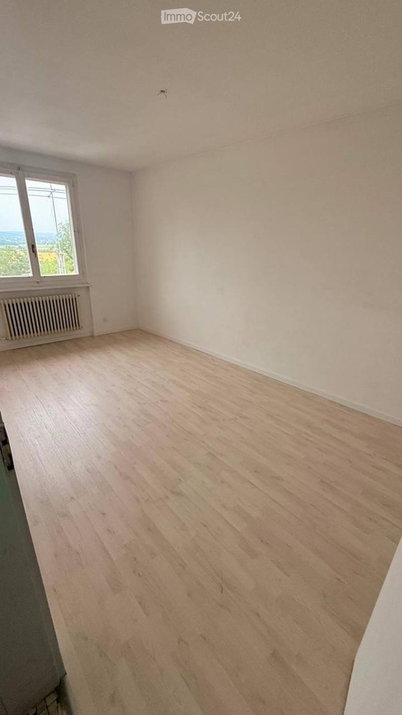 Wohnung 4,5 Zimmer, ruhige Nachbarschaft (3)