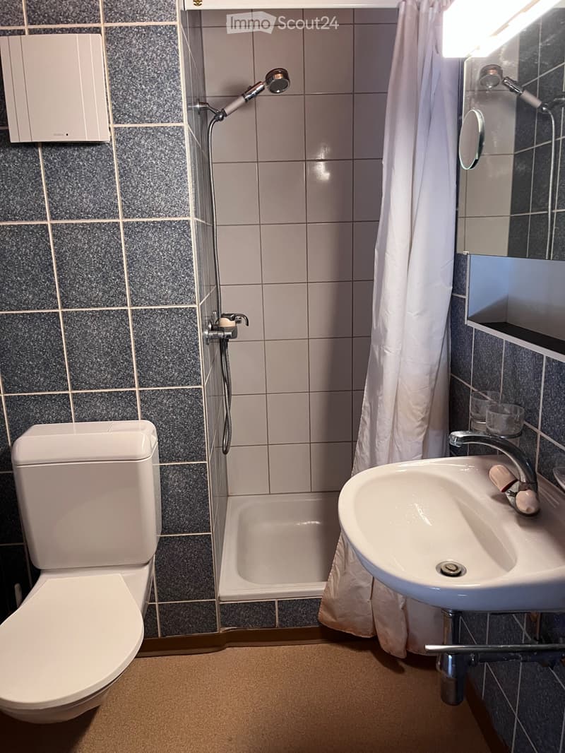 Yvorne - schönes Studio unter dem Dach (5)