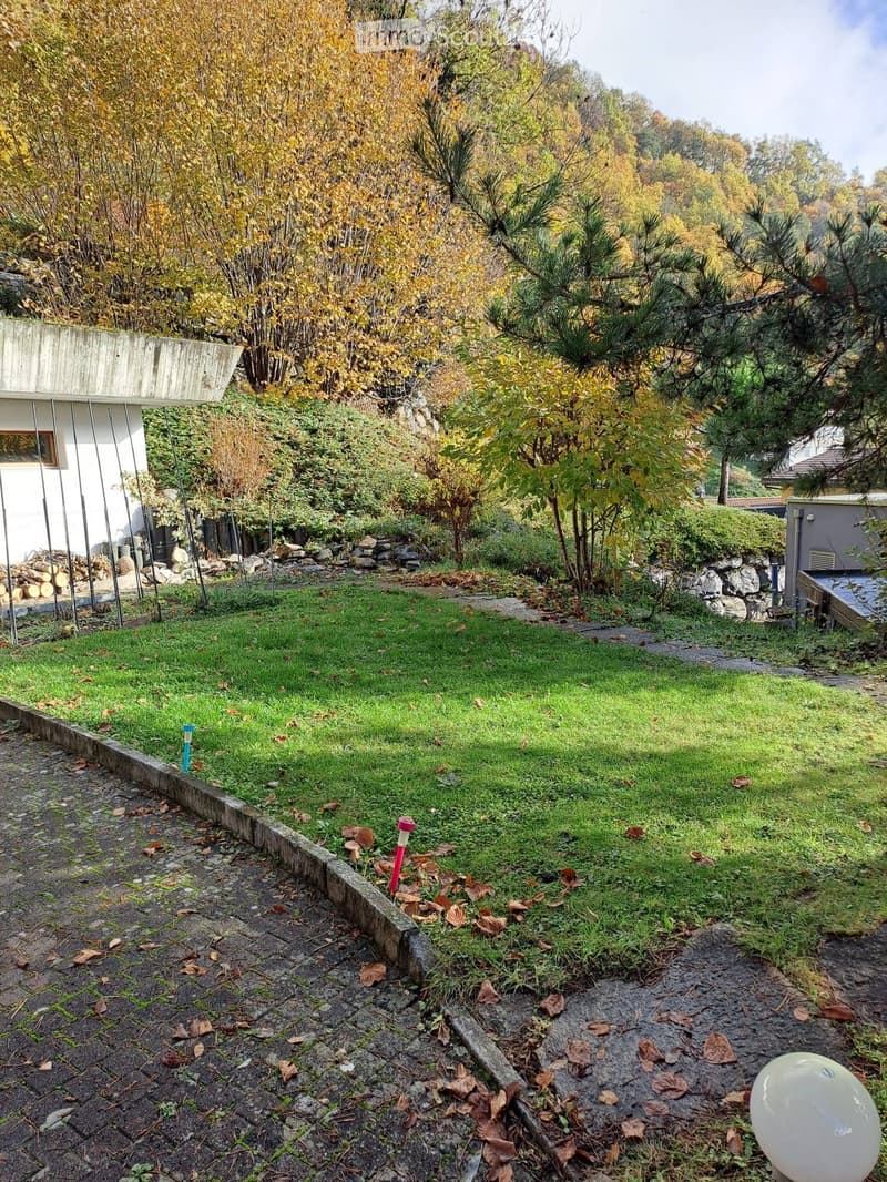 Großes Studio in ruhiger Lage mit Eingangshalle und Terrasse (3)